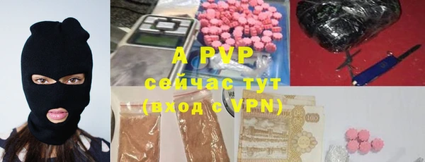 шишки Новокубанск