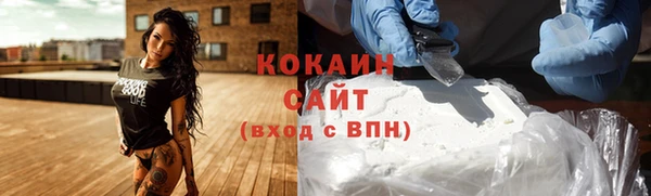 дмт Новозыбков