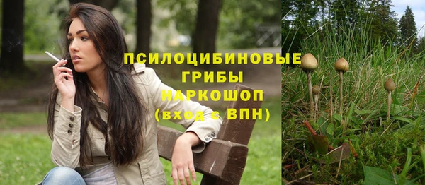 apvp Новодвинск