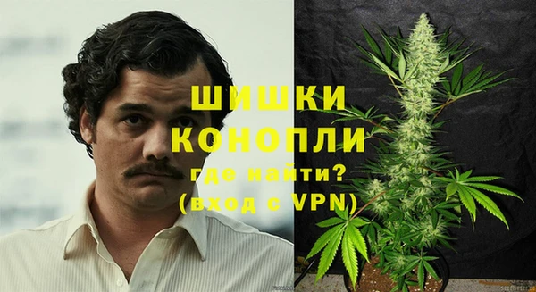 дмт Новозыбков