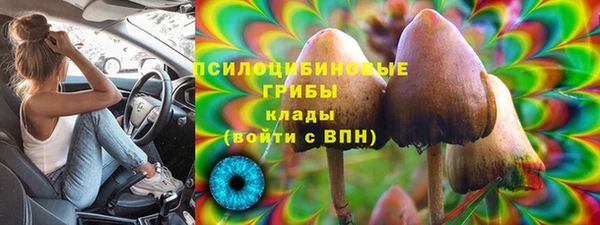 шишки Новокубанск
